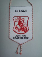 /album/svaty-jur/svaty-jur-jur-pri-bratislave-tj-zsvak-16-jpg/